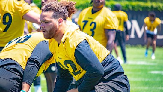 Heightened expectations for defensive line, even without Tuitt taken on the South Side (Steelers)